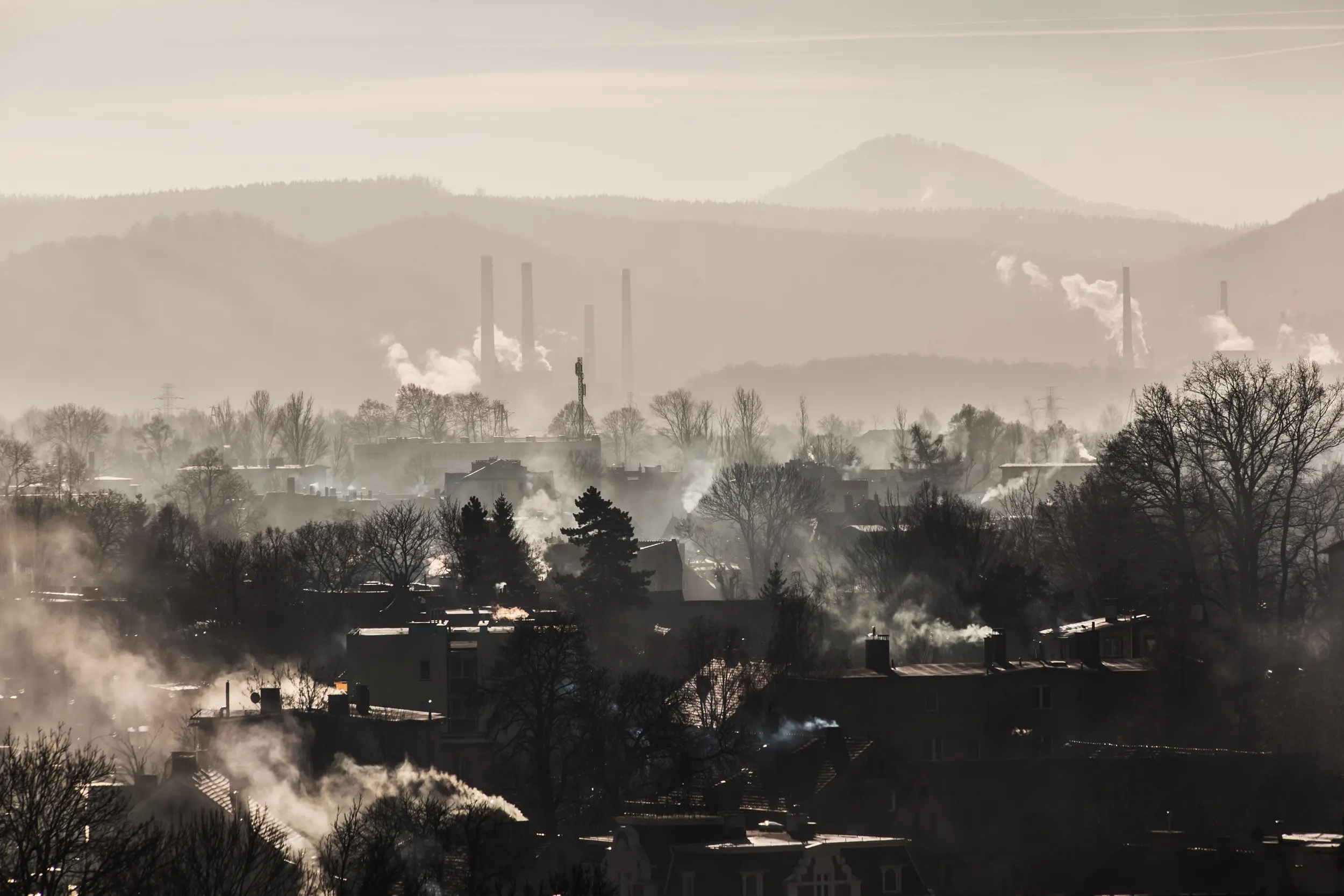 Wnętrze kancelarii notarialnej na Piaskowej Górze w Wałbrzychu